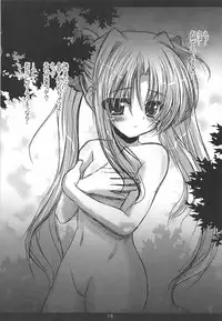 (C79) [SHINING (Shaian)] Aijoku Fate (Mahou Shoujo Lyrical Nanoha)