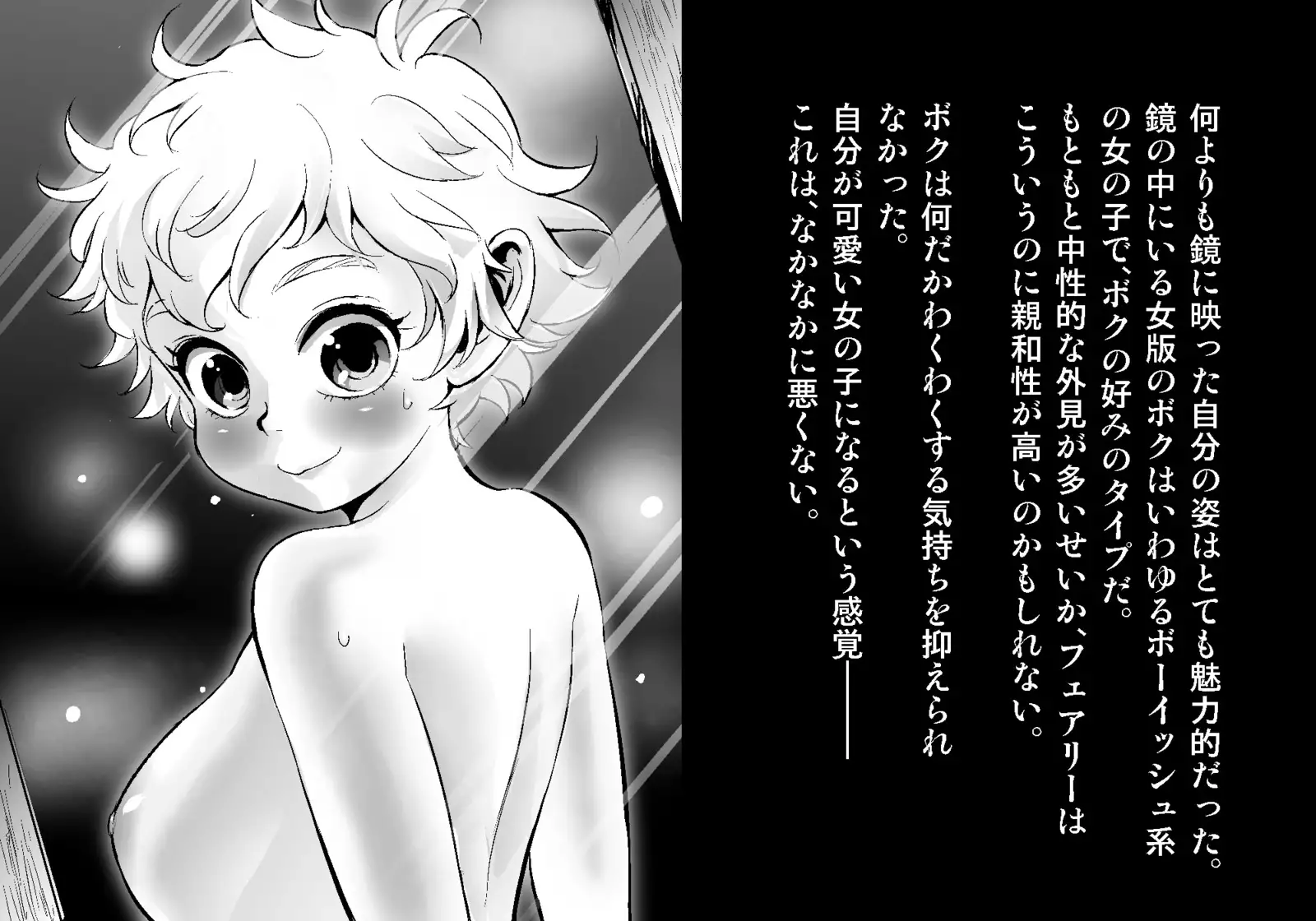 フェアリーセティ