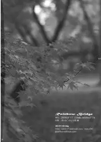 (C74) [54burger (Marugoshi)] Rainbow Bridge (Touhou Project) [English] [desudesu]