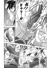 COMIC Megamilk 2010-11 Vol. 05