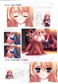 Otome wa boku ni koi shiteru Visual Fanbook (Otoboku)