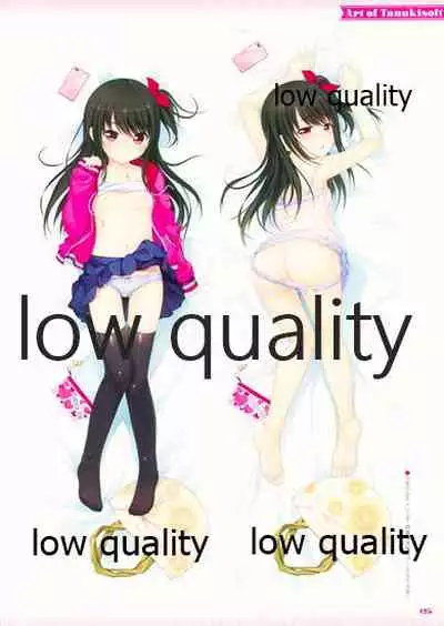 Nonohara Miki artworks De Historia Puellarum