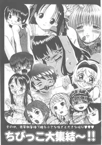 [Nakajima Daizaemon] Tsuru Manjaro